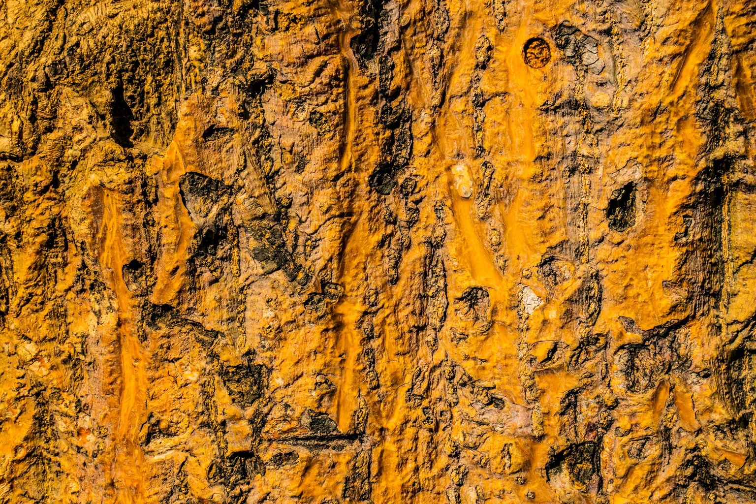 The Psychology of Color Theory in Art and Its Scientific Basis — Contextualizing Cultural Chromatic Meanings The Psychology of Color Theory in Art and Its Scientific Basis — Contextualizing Cultural Chromatic Meanings